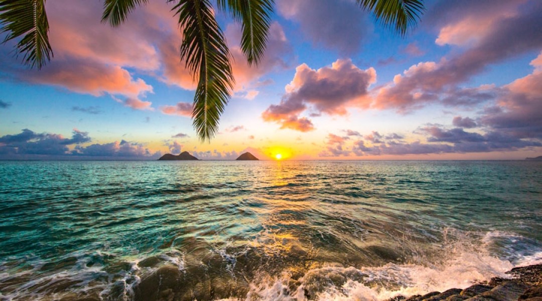 Scenic Getaway - Sri Lanka